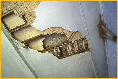 Fort Lauderdale Water Damage Fort Lauderdale, FL 954-372-1761 Fort Lauderdale Water Damage Fort Lauderdale, FL 954-372-1761 - 1-home-content