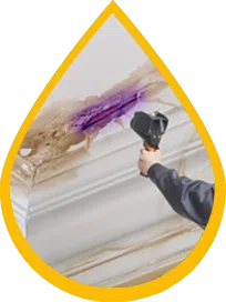 Fort Lauderdale Water Damage Fort Lauderdale, FL 954-372-1761 Fort Lauderdale Water Damage Fort Lauderdale, FL 954-372-1761 - ab-01