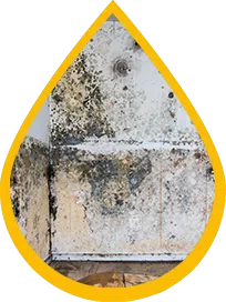 Fort Lauderdale Water Damage Fort Lauderdale, FL 954-372-1761 Fort Lauderdale Water Damage Fort Lauderdale, FL 954-372-1761 - ab-03