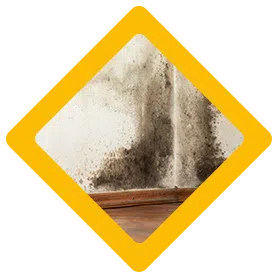 Fort Lauderdale Water Damage, Fort Lauderdale, FL 954-372-1761 Fort Lauderdale Water Damage, Fort Lauderdale, FL 954-372-1761 - sb-03